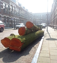 Bomen (column Jan Dobbe)